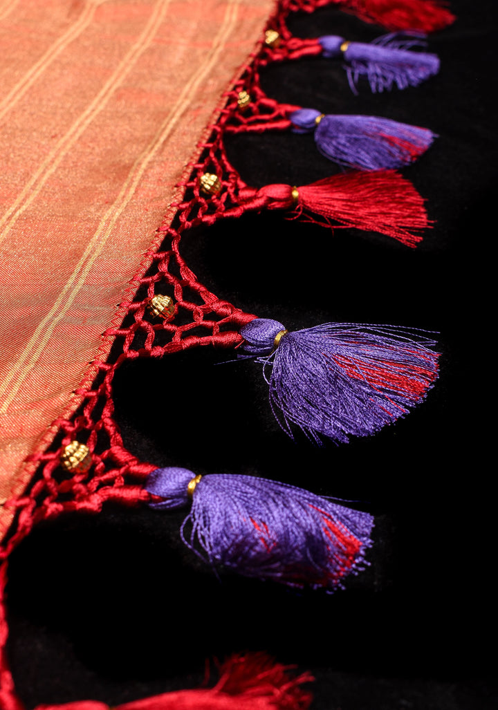 Blue Tone Exquisite Tissue Silk Ikkat Saree with Red Contrast zari Border and pallu I SILK MARK CERTIFIED