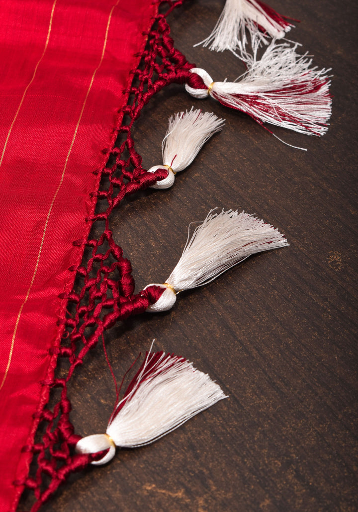 White Pure Silk Saree with Intricate Ikkat patterns and Contrast Red Border | SILK MARK CERTIFIED