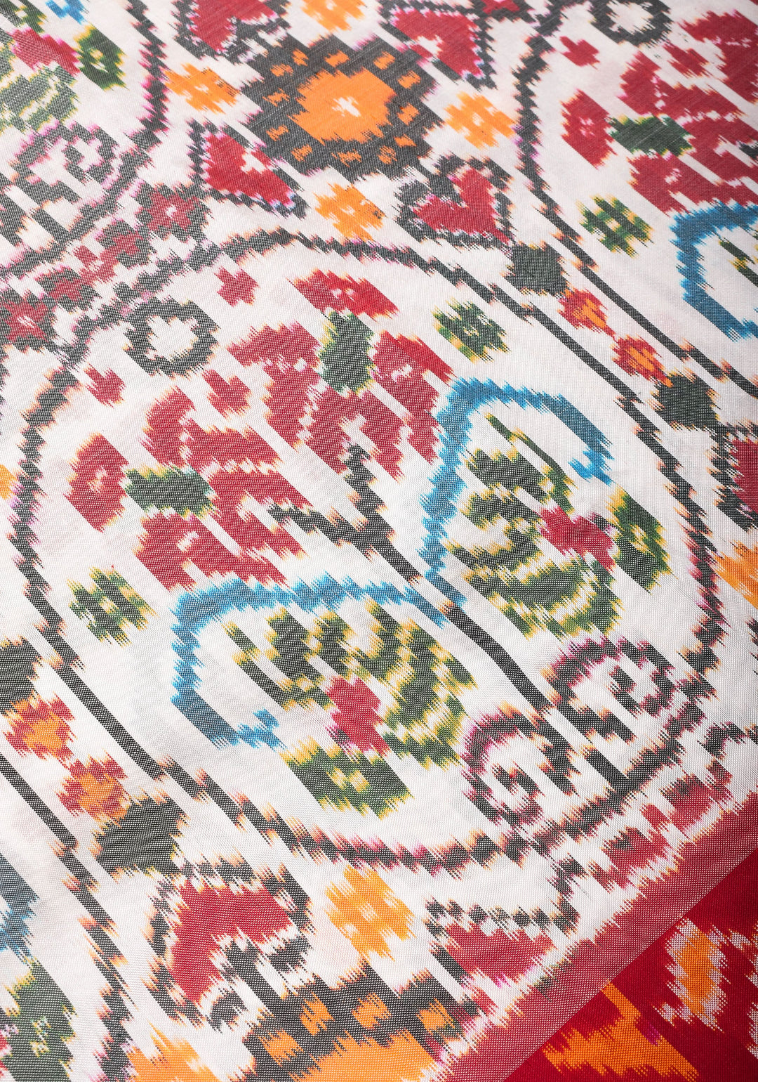 White Pure Silk Saree with Intricate Ikkat patterns and Contrast Red Border | SILK MARK CERTIFIED