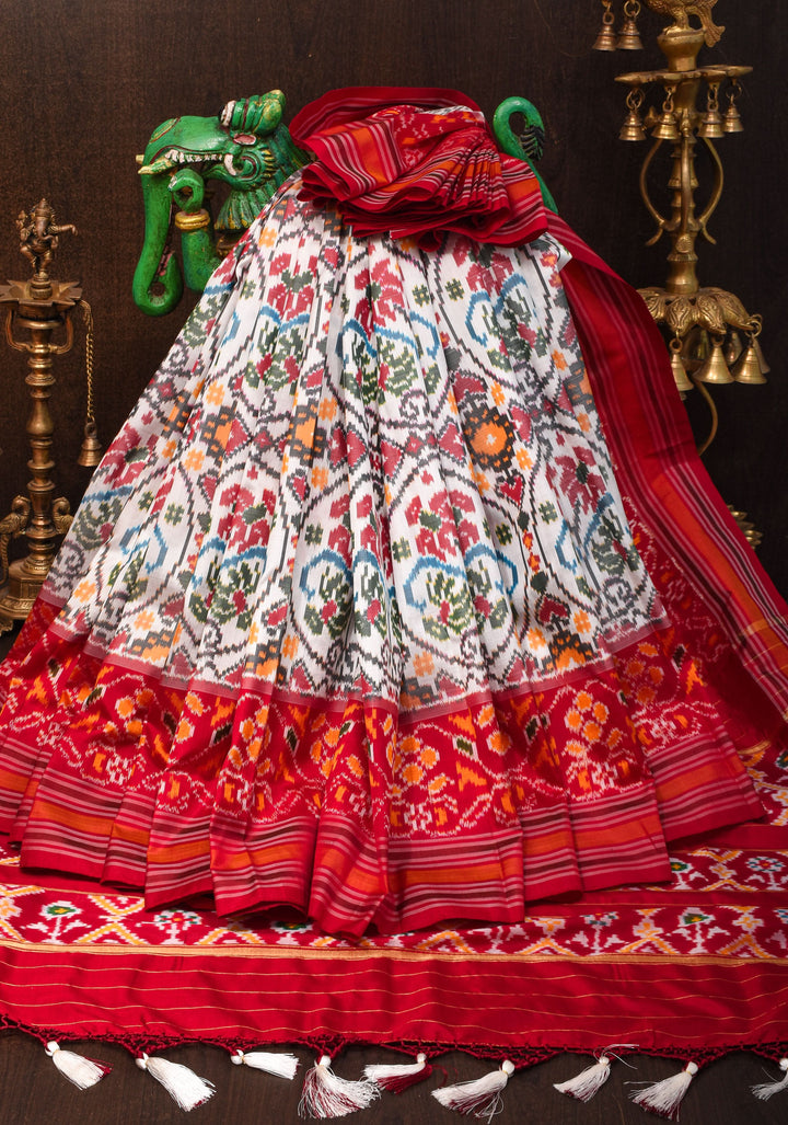 White Pure Silk Saree with Intricate Ikkat patterns and Contrast Red Border | SILK MARK CERTIFIED