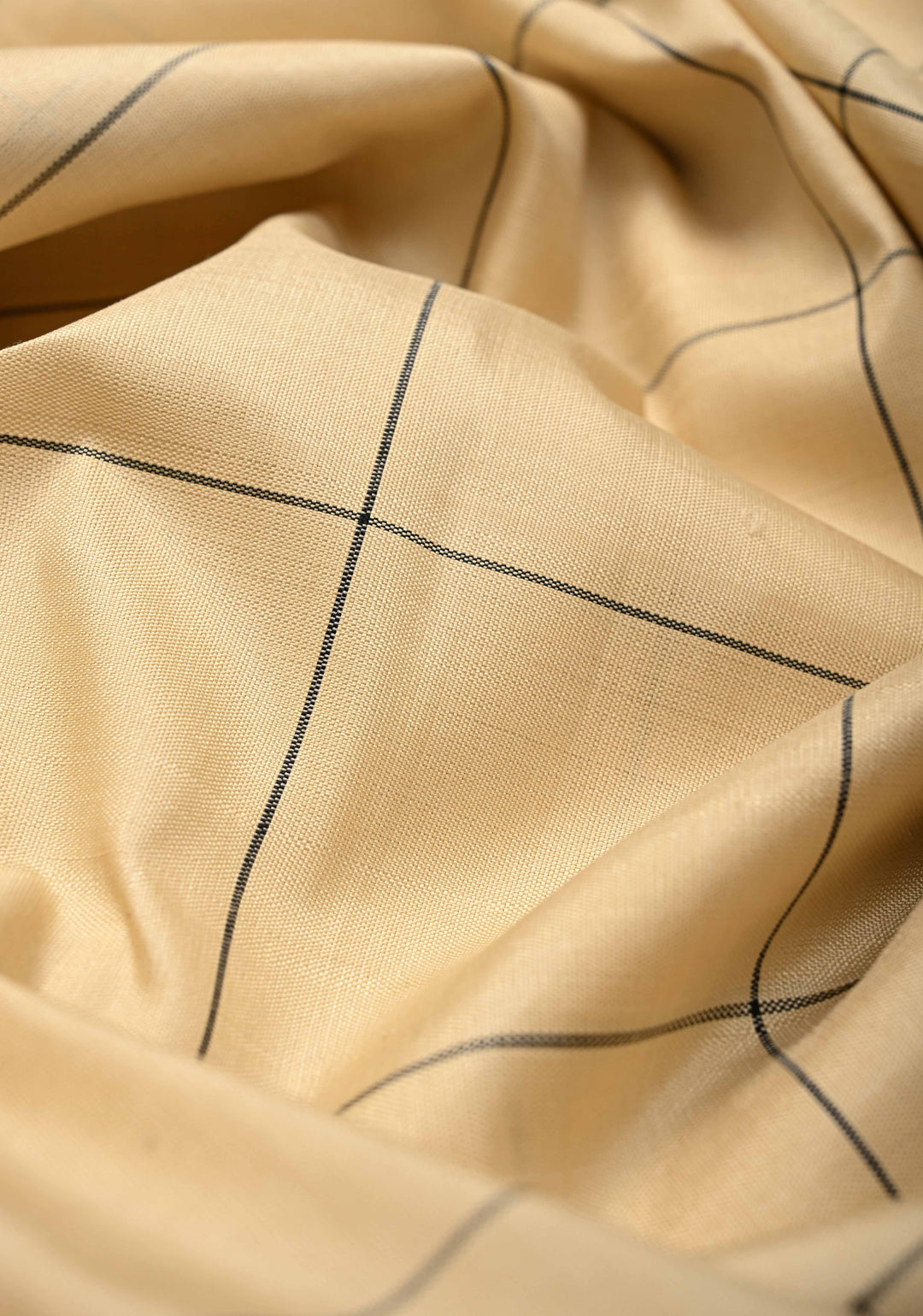 Beige Kanjivaram Pure Silk Saree with Silk Checks and Zari Buttas on Black Wide Border | SILK MARK CERTIFIED