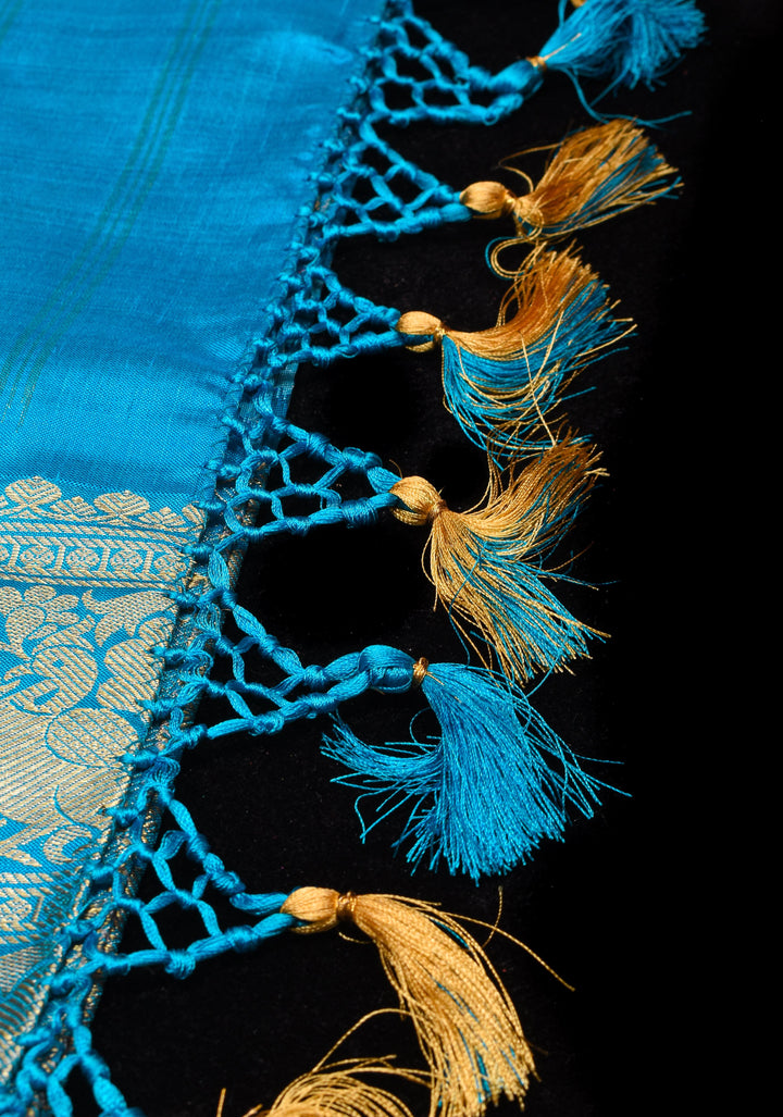 Ikkat Kanjivaram Fusion Silk Saree with zari borders and ikkat panel | SILK MARK CERTIFIED