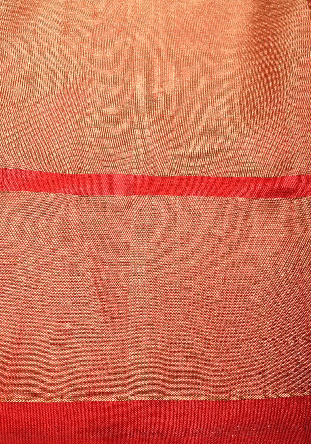 Pure Silk Tissue Ikkat Pochampally Silk Saree in Kelly Green and Red Border| SILK MARK CERTIFIED