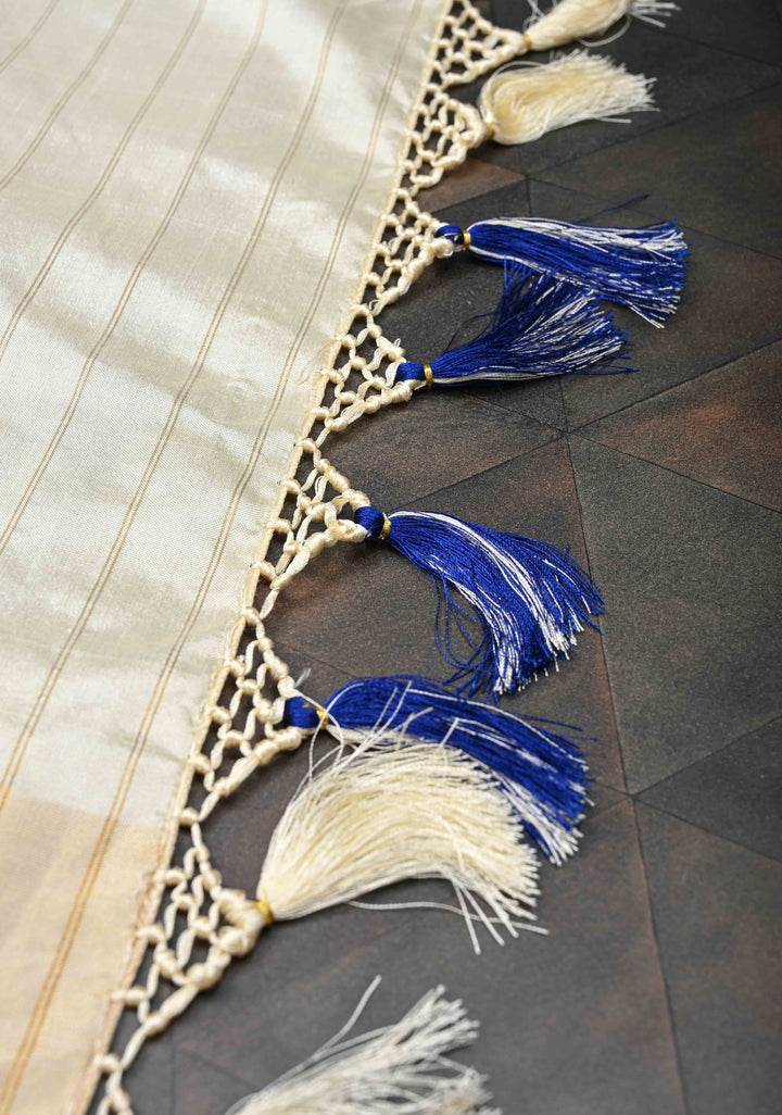 Exquisite Royal Blue Ikkat Pure Silk Saree Saree with Meenakari Birds Tissue Border | SILK MARK CERTIFIED