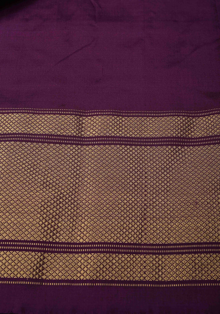 Beige Ikkat Patola Pure Silk Saree with Contrast Zari Border | SILK MARK CERTIFIED