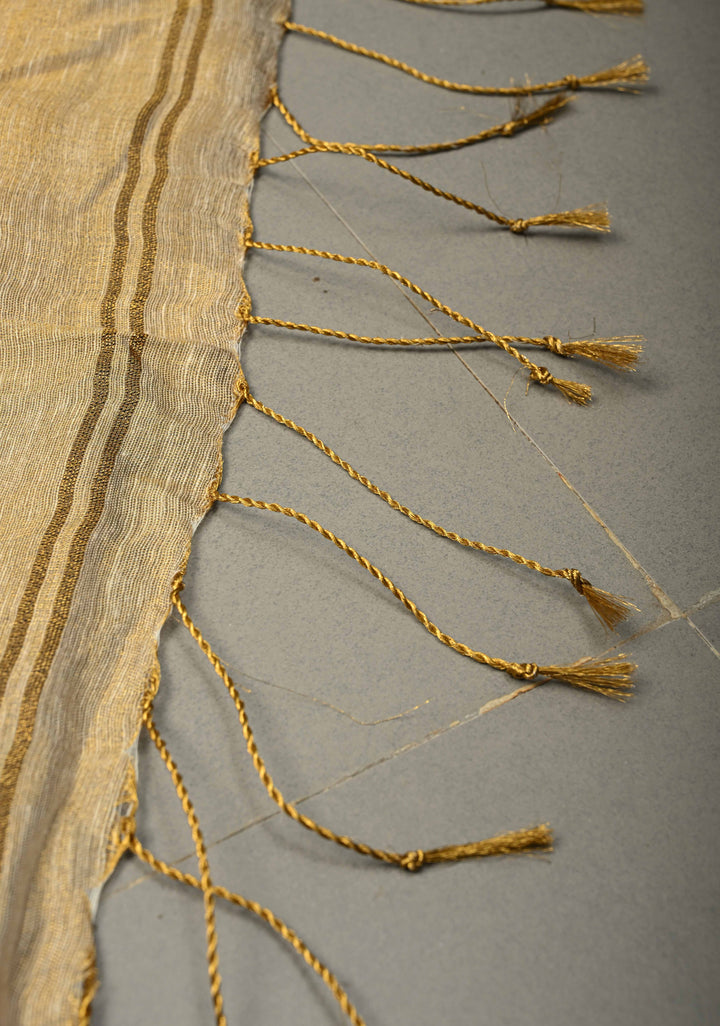 Ivory-Gold Borderless Linen by Tissue Saree