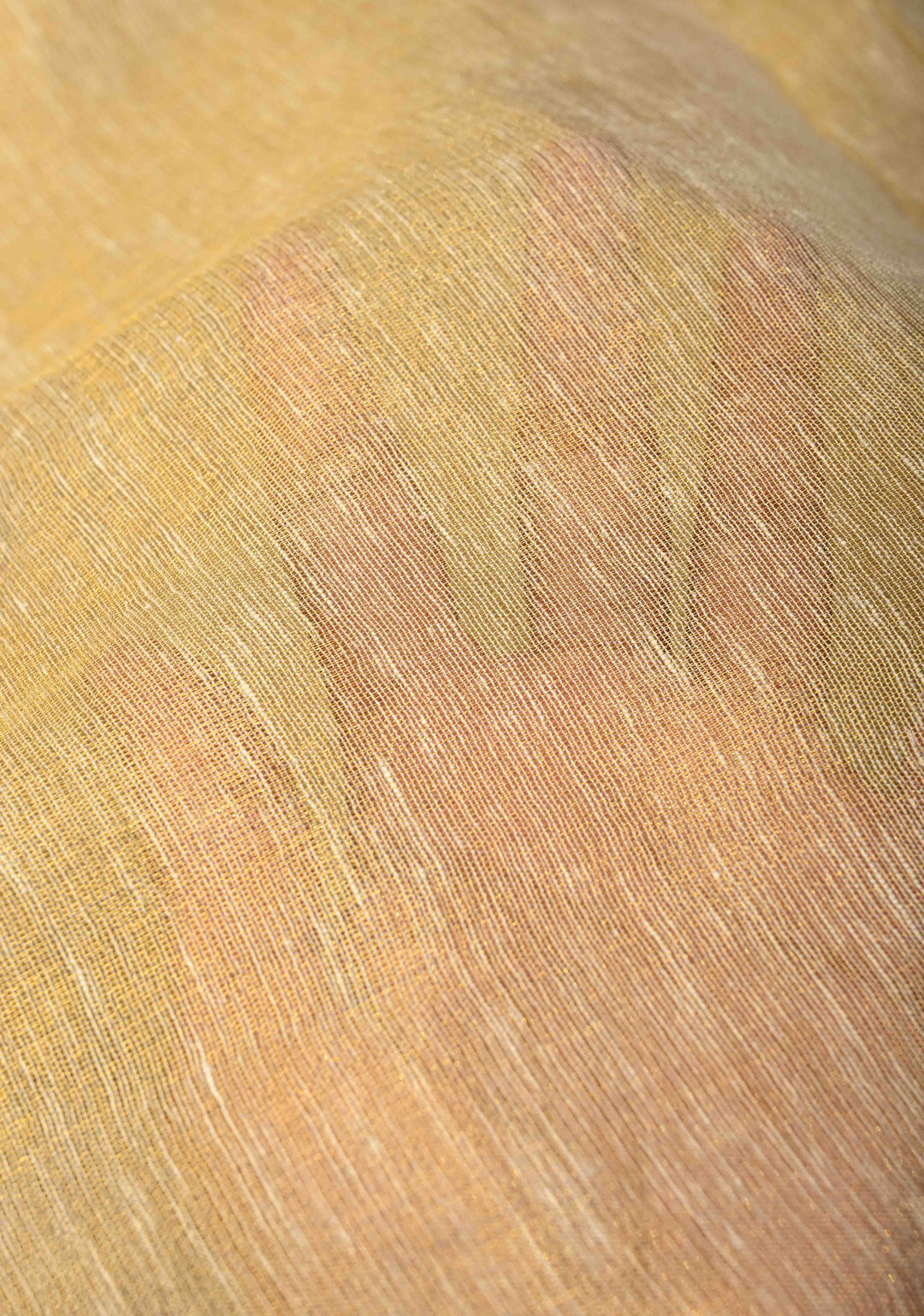 Ivory-Gold Borderless Linen by Tissue Saree