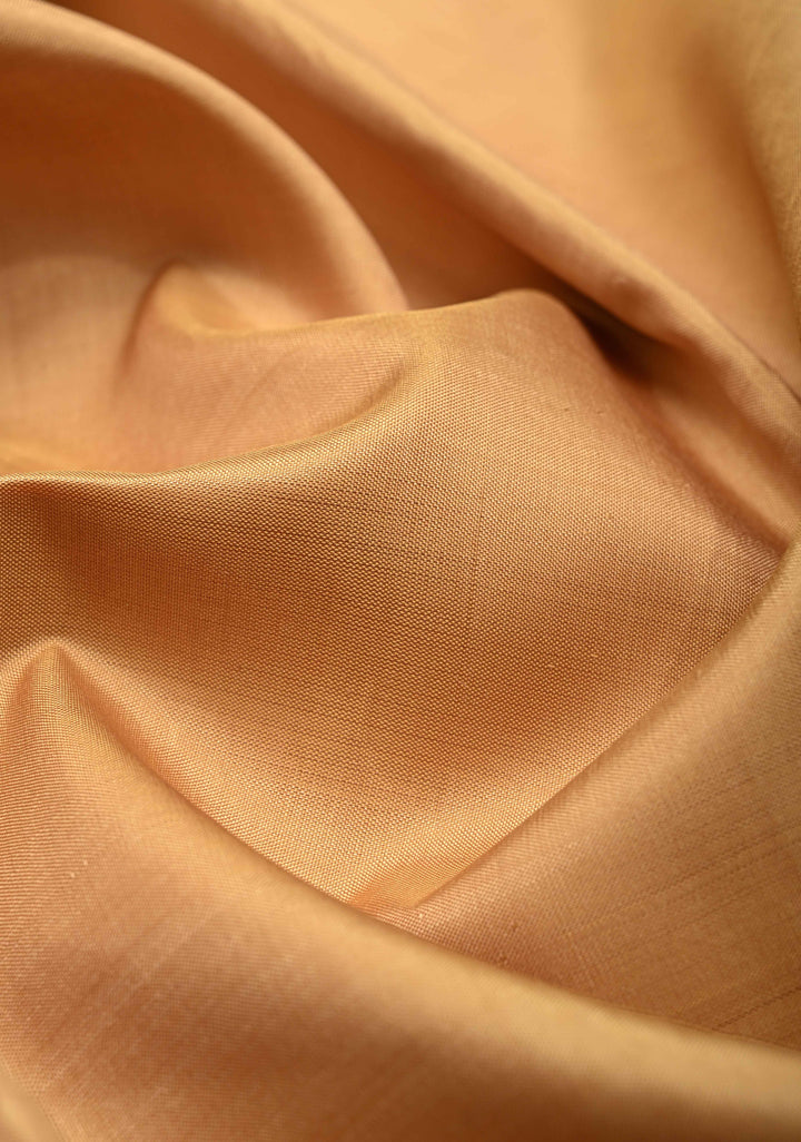 Unique Colors Deep Sandalwood Handloom Pure Silk Kanchipattu Saree with Multicolor Border  | SILK MARK CERTIFIED