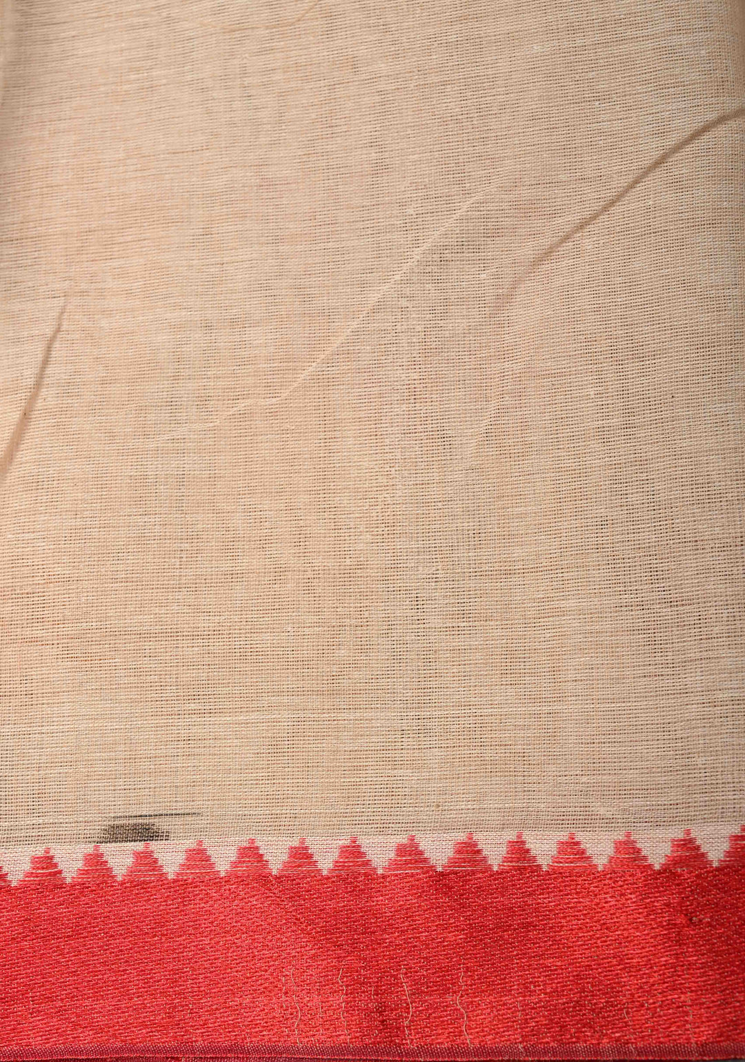 Beige Cotton Saree with Floral Handpainting and Minimal Borders , No Blouse Piece