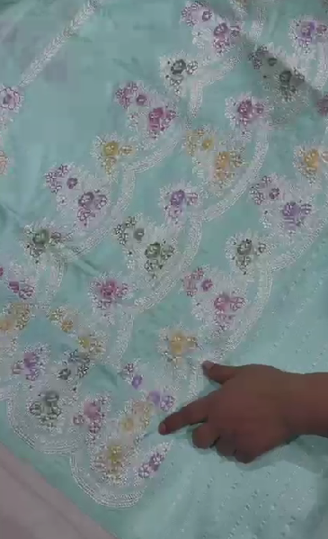 Aqua Blue Pure Banarasi Katan Silk Saree with Meenakari Detailing and Zari Border | SILK MARK CERTIFIED