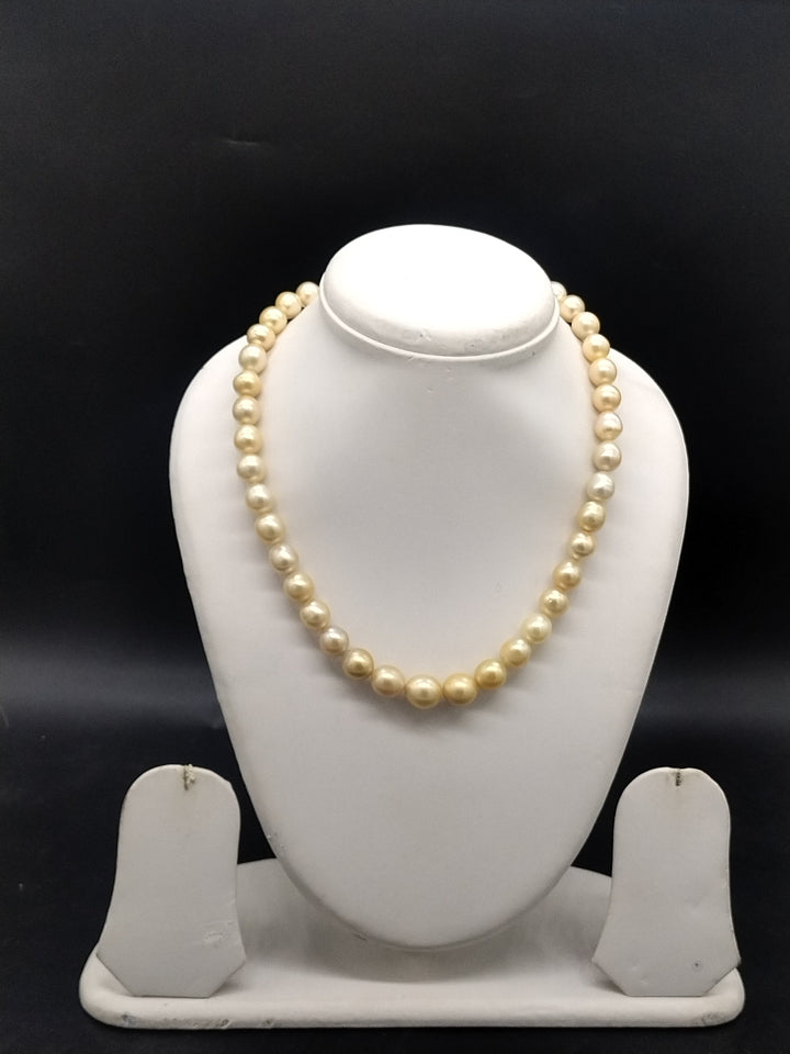 Golden Harmony South Sea Pearl One-Line Mala | SHOBITAM