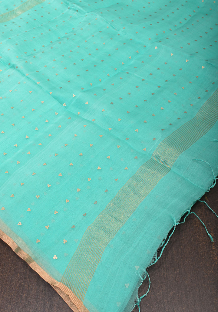 Mint Green Sequins on Muslin Saree
