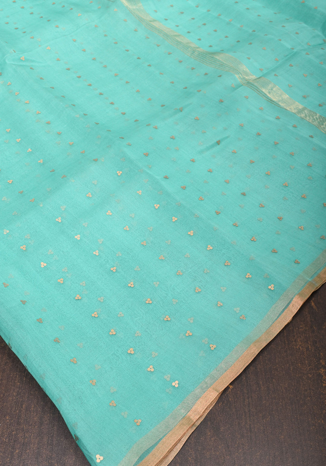 Mint Green Sequins on Muslin Saree