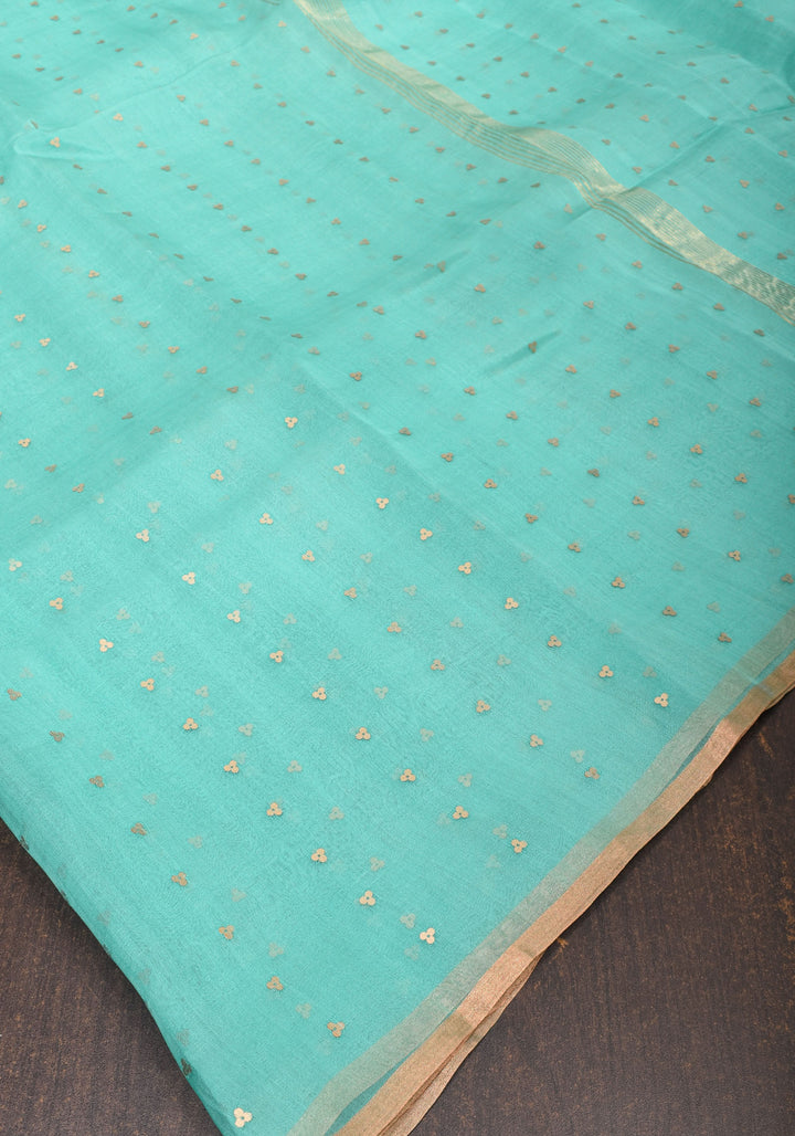 Mint Green Sequins on Muslin Saree