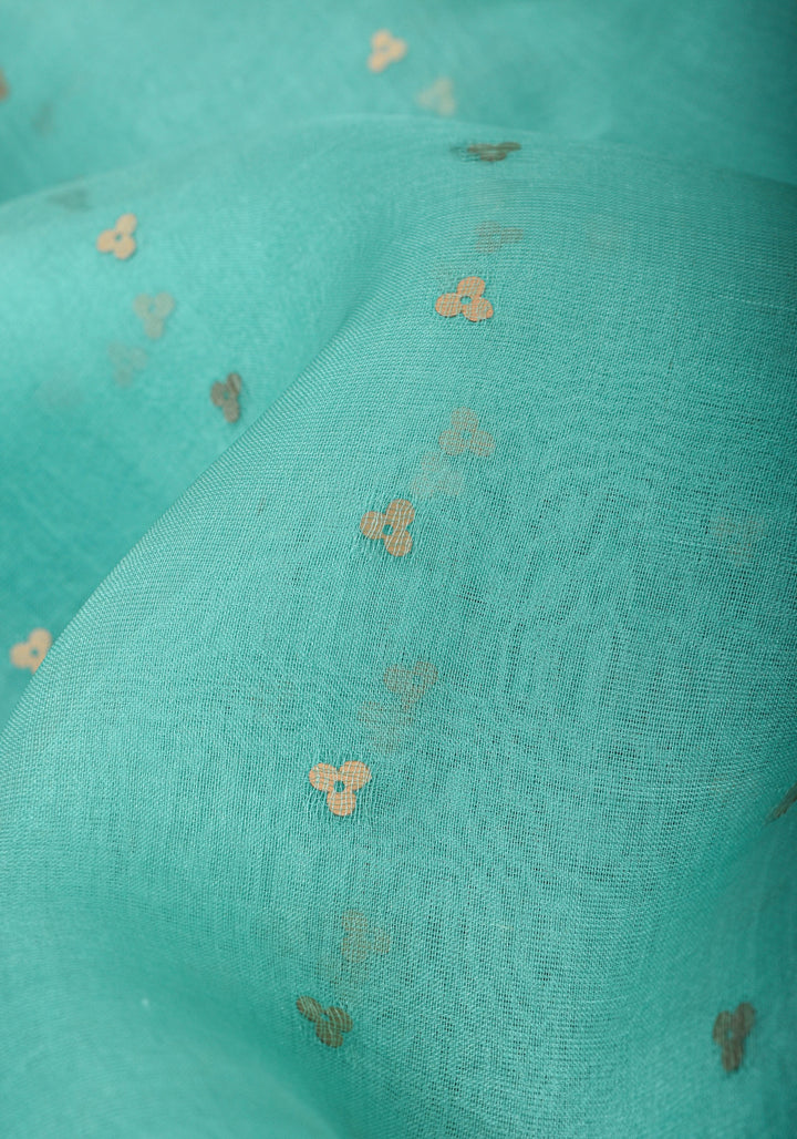 Mint Green Sequins on Muslin Saree
