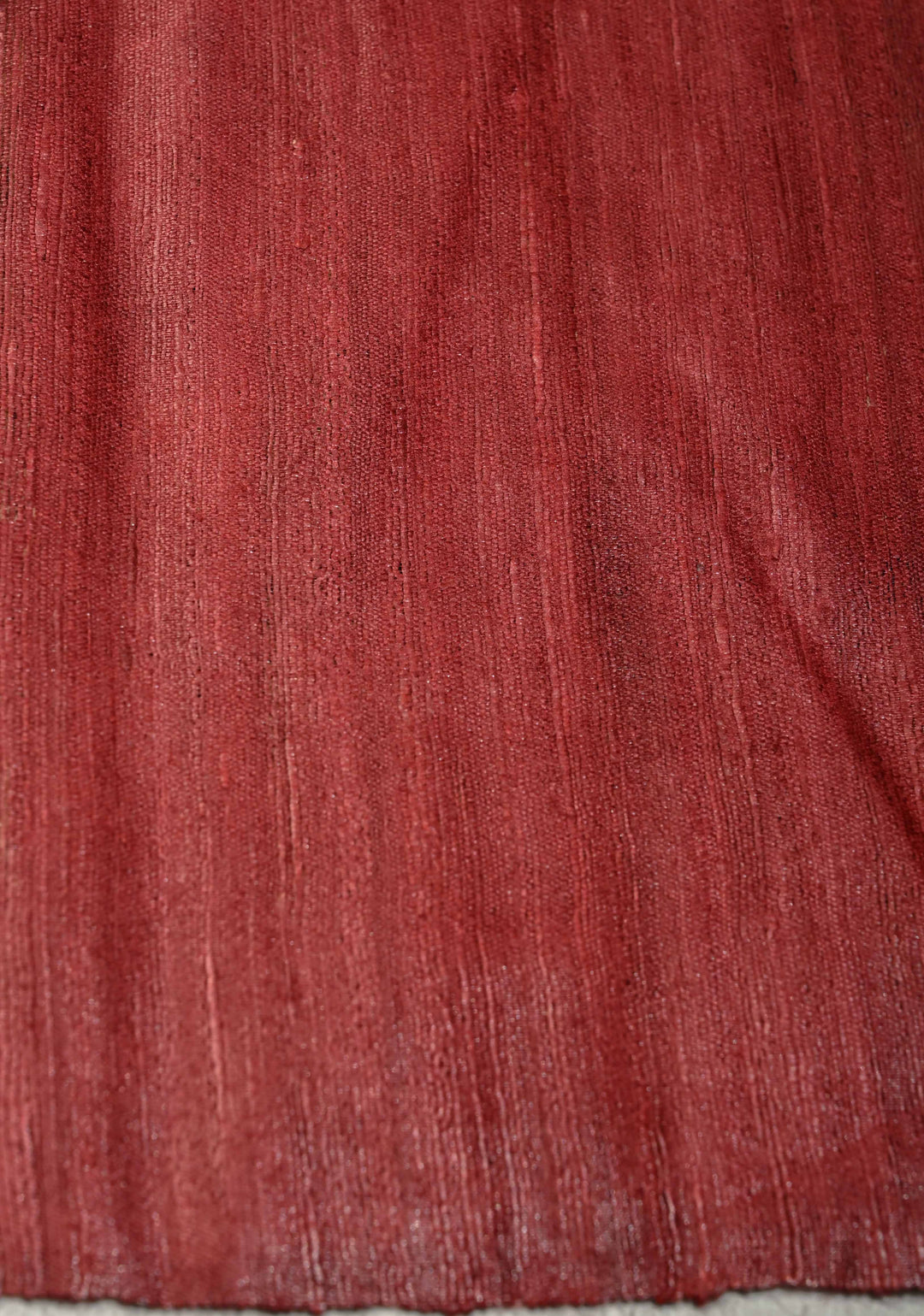 Beige Madhubani hand painted on Geecha Tussar Silk Saree With Border | SILK MARK CERTIFIED