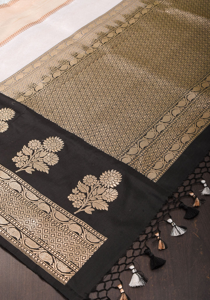 Exquisite Banarasi Tissue and Katan Silk Panel Design Saree with Black Borders | SILK MARK CERTIFIED