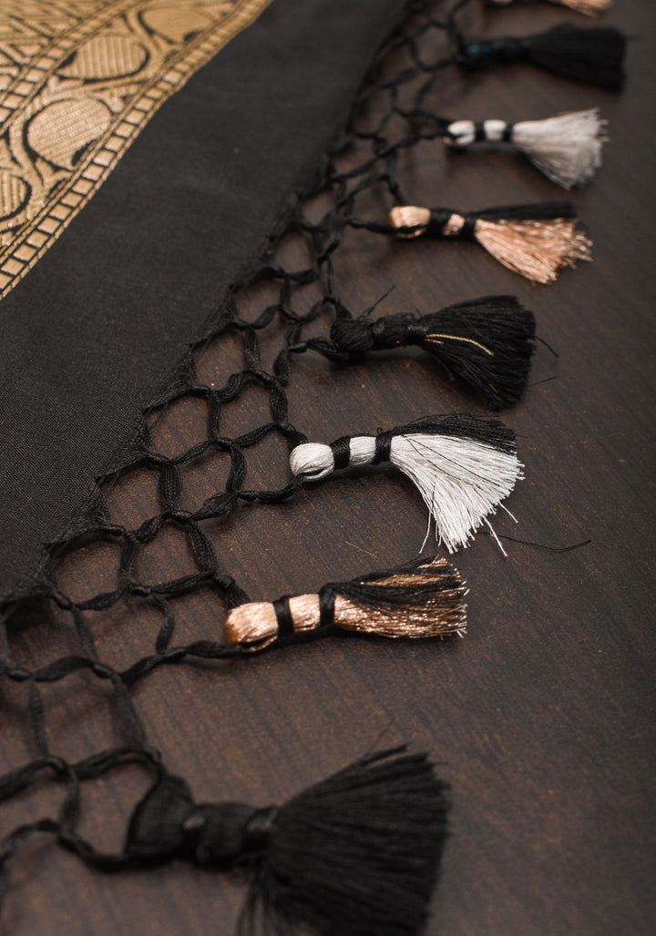 Exquisite Banarasi Tissue and Katan Silk Panel Design Saree with Black Borders | SILK MARK CERTIFIED
