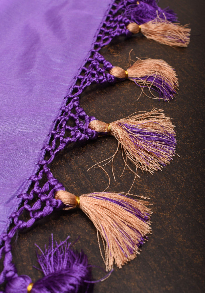 Lilac Meenakari Banarasi Pure Silk saree with Patola Design| SILK MARK CERTIFIED