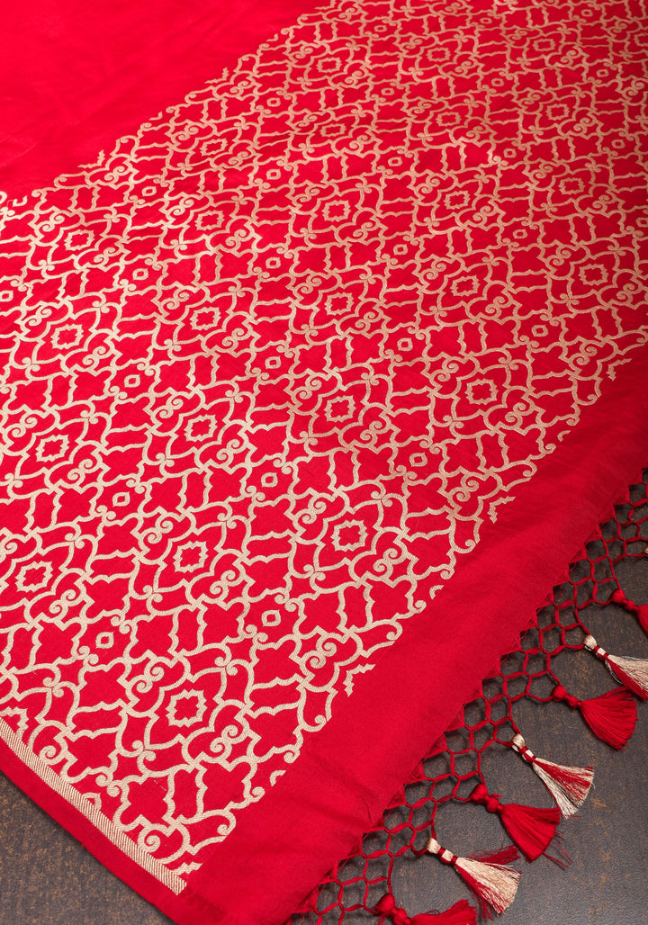 Grand Banarasi Silk Saree with Trellis Pattern Border in Red | SILK MARK CERTIFIED