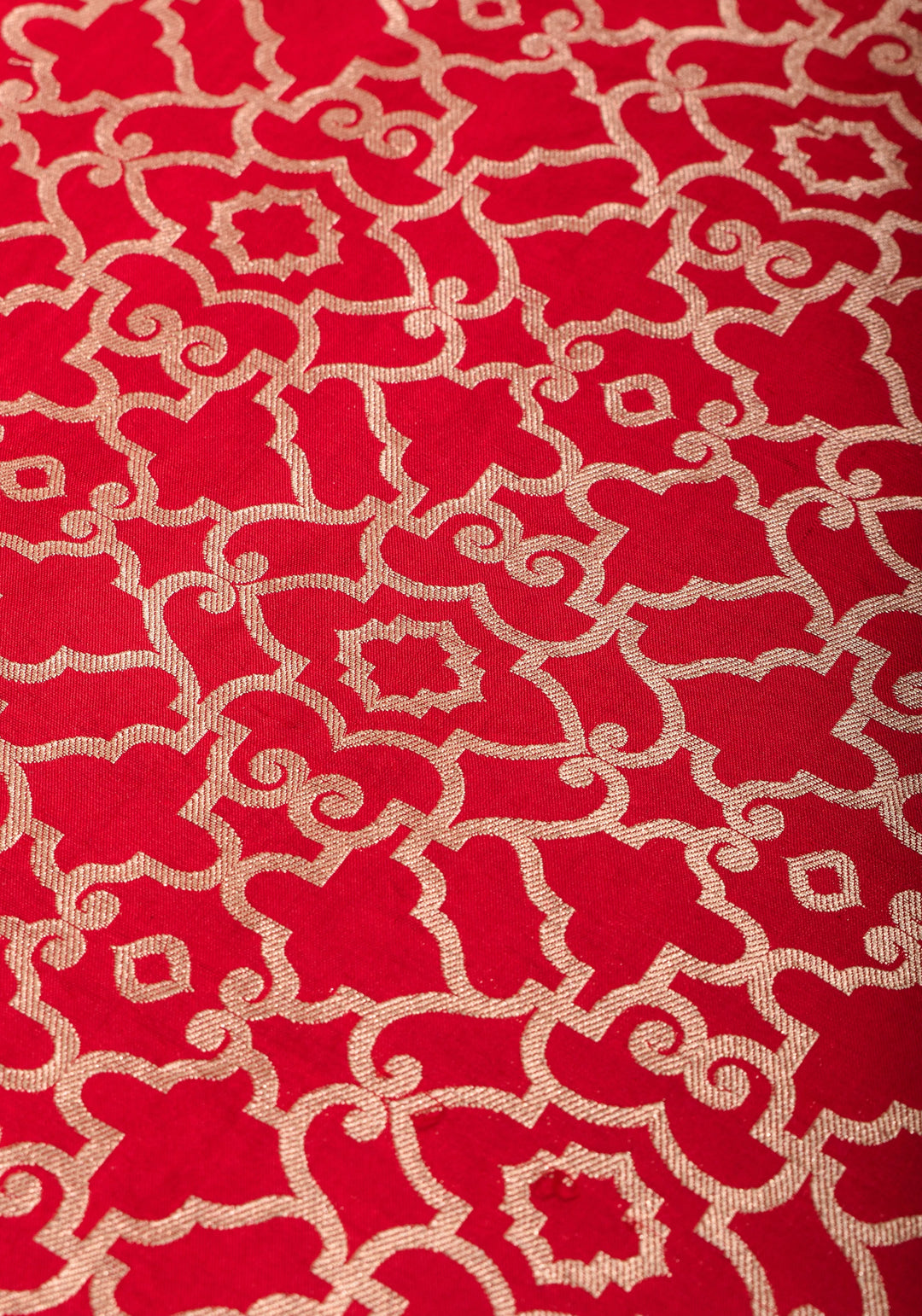 Grand Banarasi Silk Saree with Trellis Pattern Border in Red | SILK MARK CERTIFIED