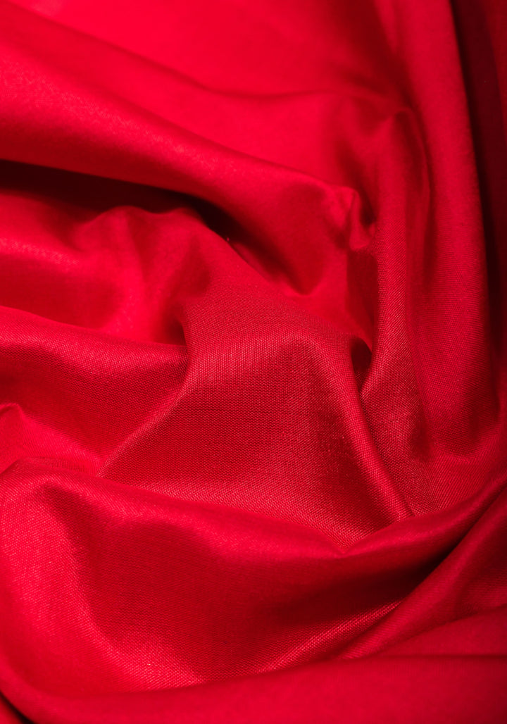 Grand Banarasi Silk Saree with Trellis Pattern Border in Red | SILK MARK CERTIFIED