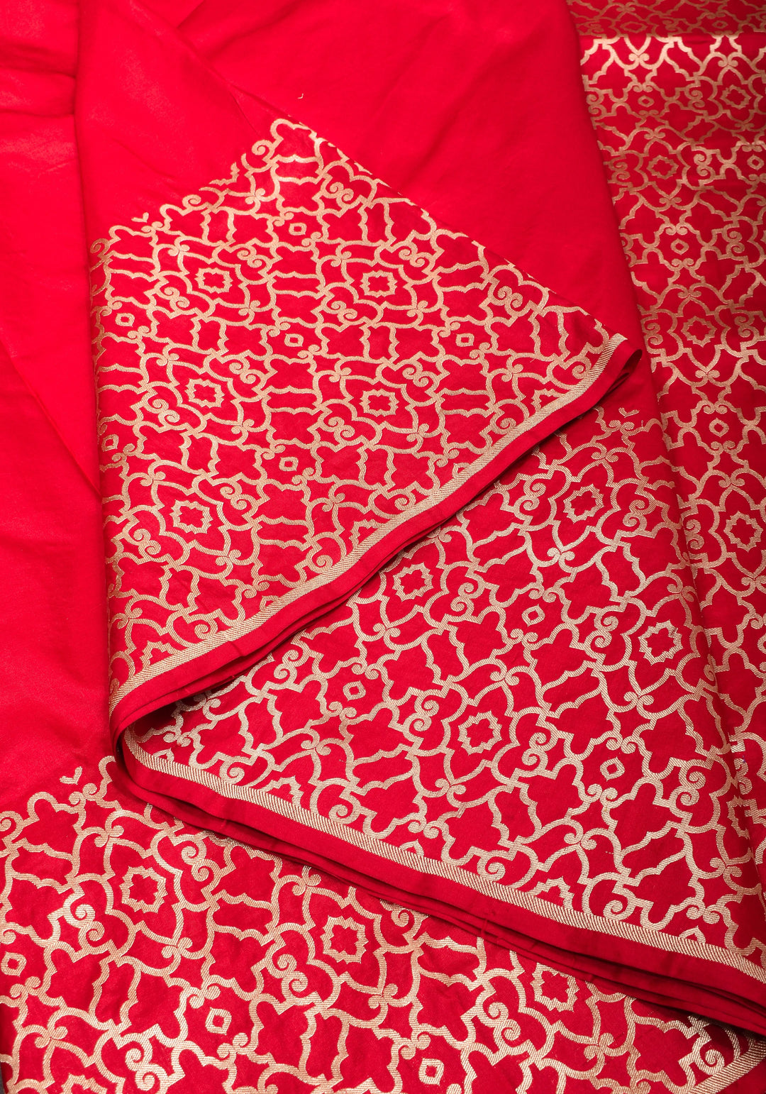 Grand Banarasi Silk Saree with Trellis Pattern Border in Red | SILK MARK CERTIFIED