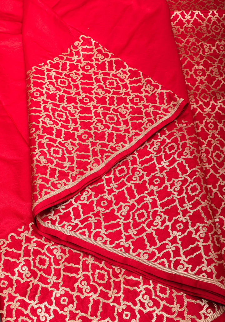 Grand Banarasi Silk Saree with Trellis Pattern Border in Red | SILK MARK CERTIFIED