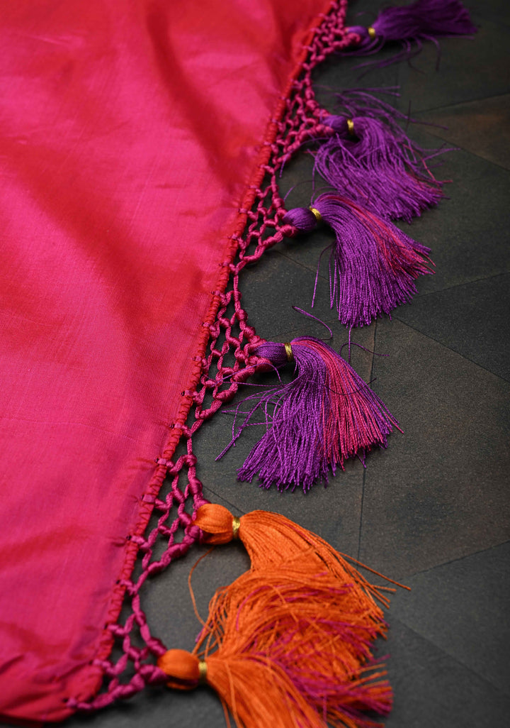 Exquisite Banarasi Patola Meenakari Katan Silk Saree in Red-pink shot color with Intricate Pallu | SILK MARK CERTIFIED