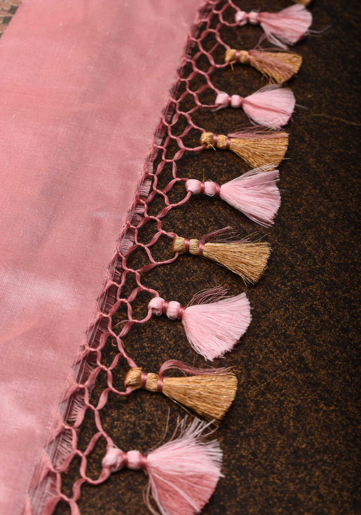 Exquisite Banarasi Patola Katan Silk Saree in Pink with Paithani Style Border | SILK MARK CERTIFIED