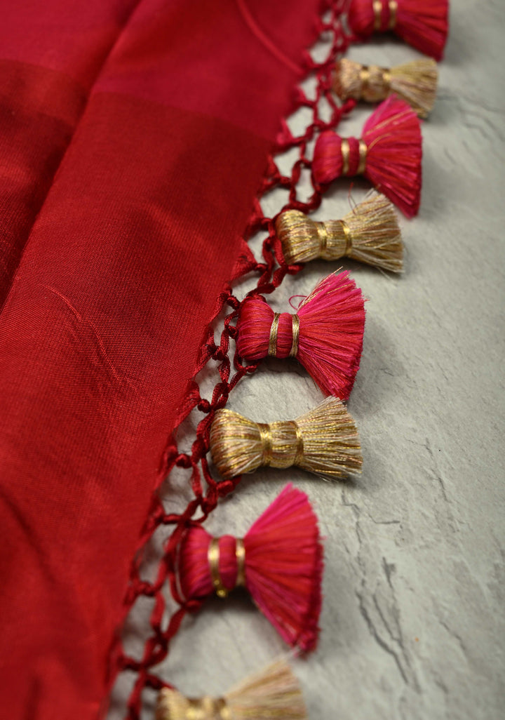 Shades of Red Banarasi Katan Silk Saree with Vine Zari Stripes and Zari Border | SILK MARK CERTIFIED