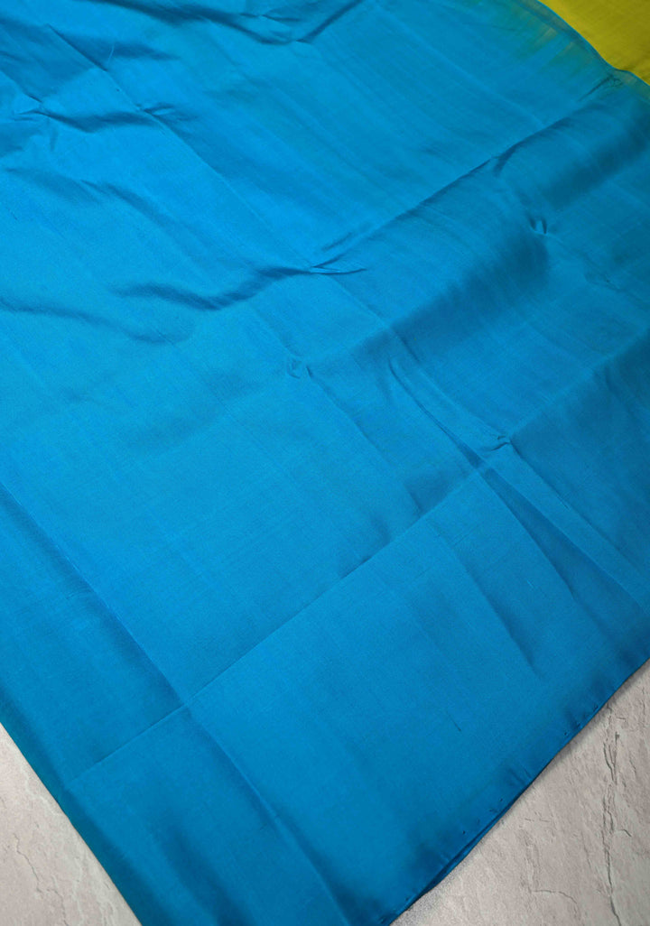 Borderless Off White-Black-Blue Uppada Handloom Pure Silk Saree with Panel Pattern | SILK MARK CERTIFIED