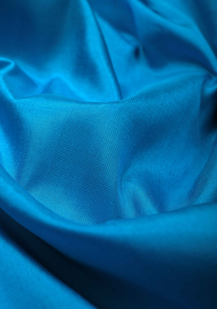 Borderless Off White-Black-Blue Uppada Handloom Pure Silk Saree with Panel Pattern | SILK MARK CERTIFIED