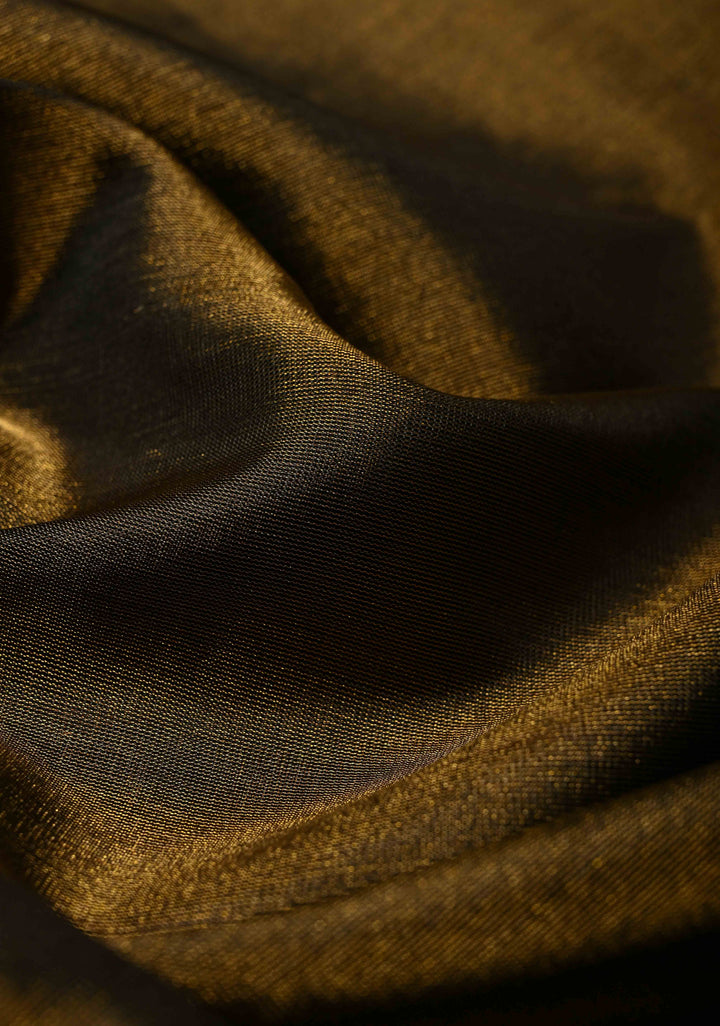 Black Tone Pure silk Tissue Handloom Saree with Muted Tissue Zari Border | SILK MARK CERTIFIED