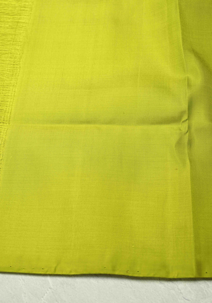 Borderless Off White-Black-Purple Uppada Handloom Pure Silk Saree with Panel Pattern | SILK MARK CERTIFIED