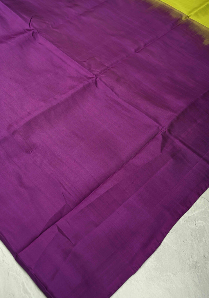 Borderless Off White-Black-Purple Uppada Handloom Pure Silk Saree with Panel Pattern | SILK MARK CERTIFIED