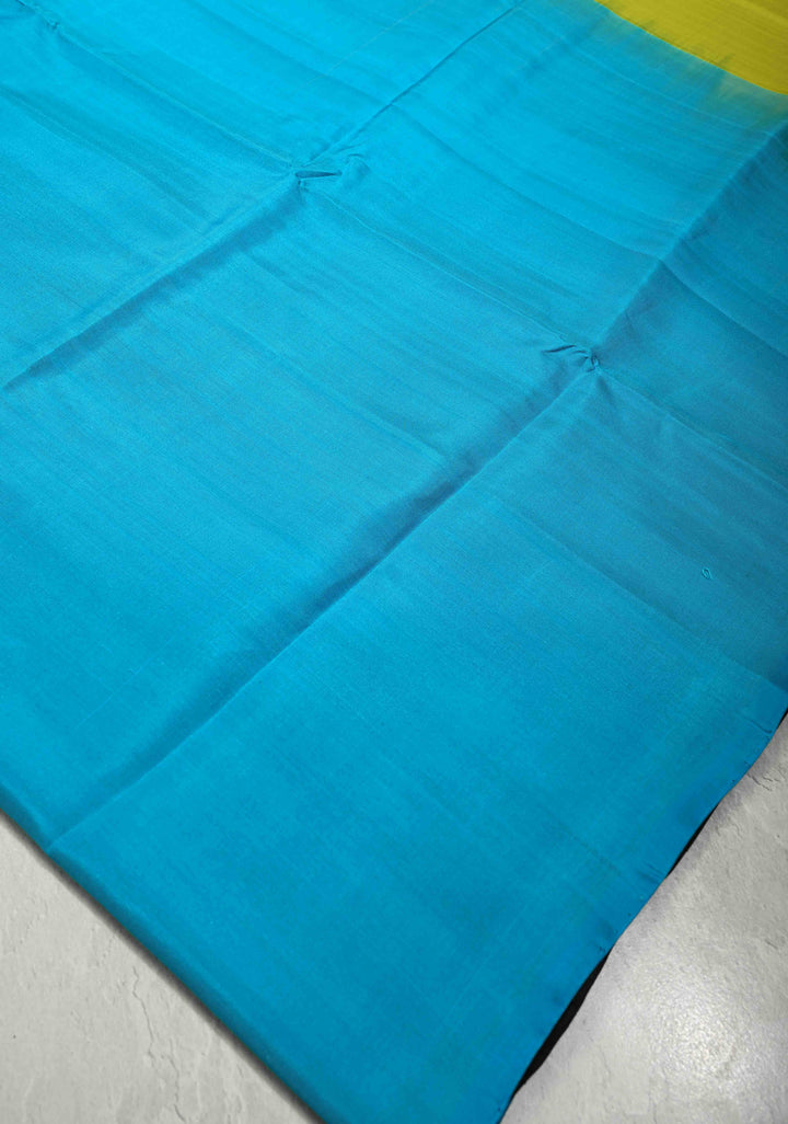 Borderless Off White-Black-Blue-Lime Green Uppada Handloom Pure Silk Saree with Panel Pattern | SILK MARK CERTIFIED