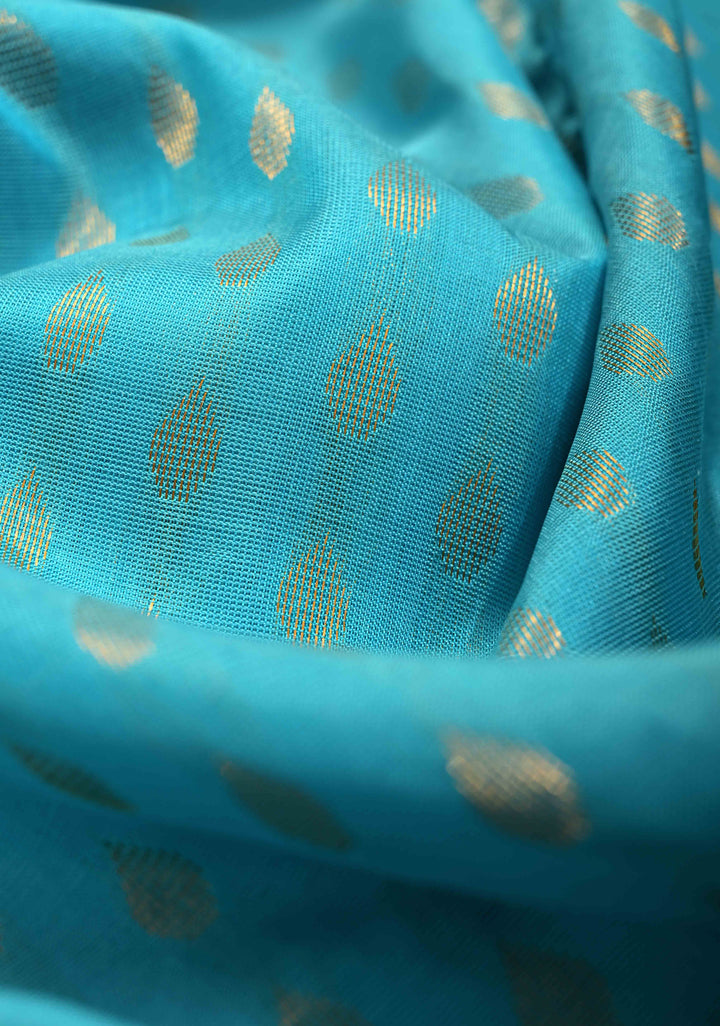 Aqua Uppada Handloom Silk Saree with Meenakari Floral Jaal Panel and Tissue Border | SILK MARK CERTIFIED