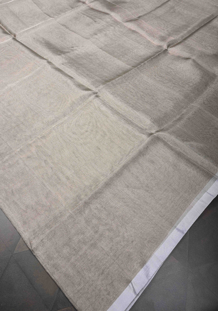 Gray Uppada Tissue Handloom Silk Saree with Minimal Zari Border | SILK MARK CERTIFIED