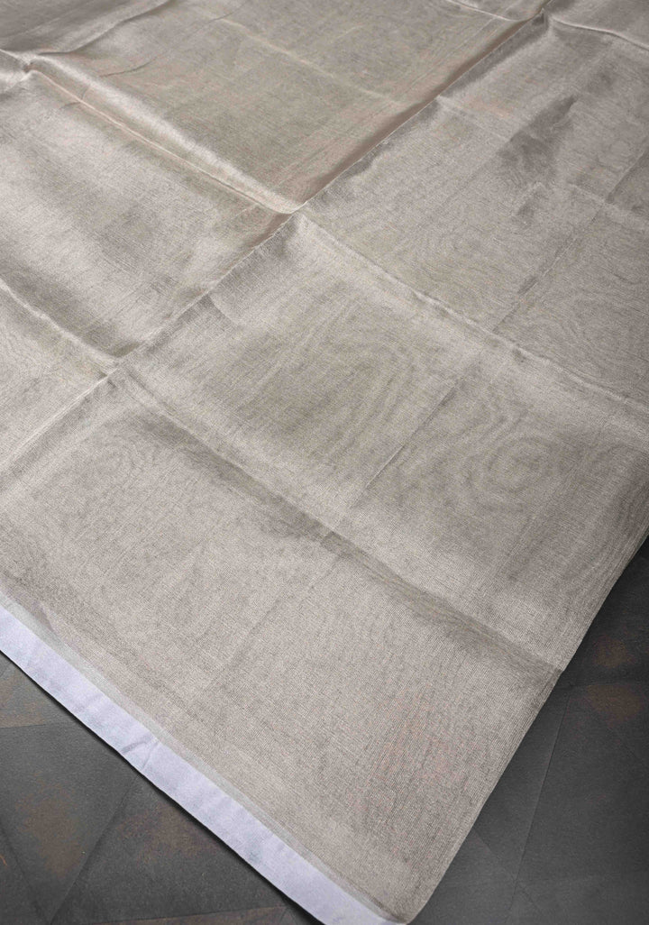Gray Uppada Tissue Handloom Silk Saree with Minimal Zari Border | SILK MARK CERTIFIED