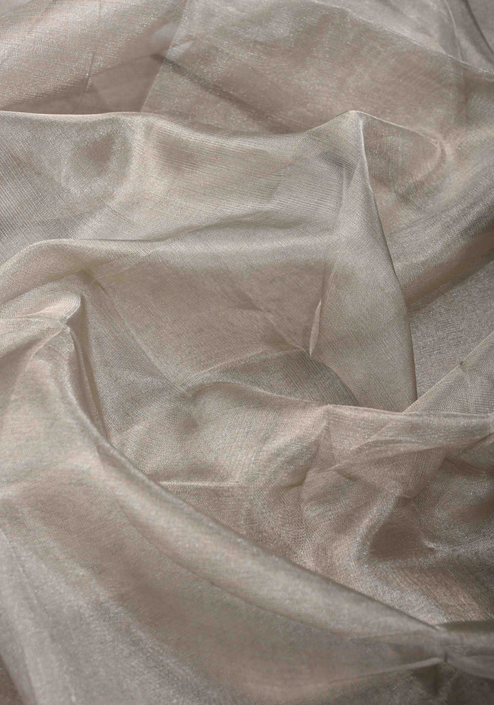 Gray Uppada Tissue Handloom Silk Saree with Minimal Zari Border | SILK MARK CERTIFIED