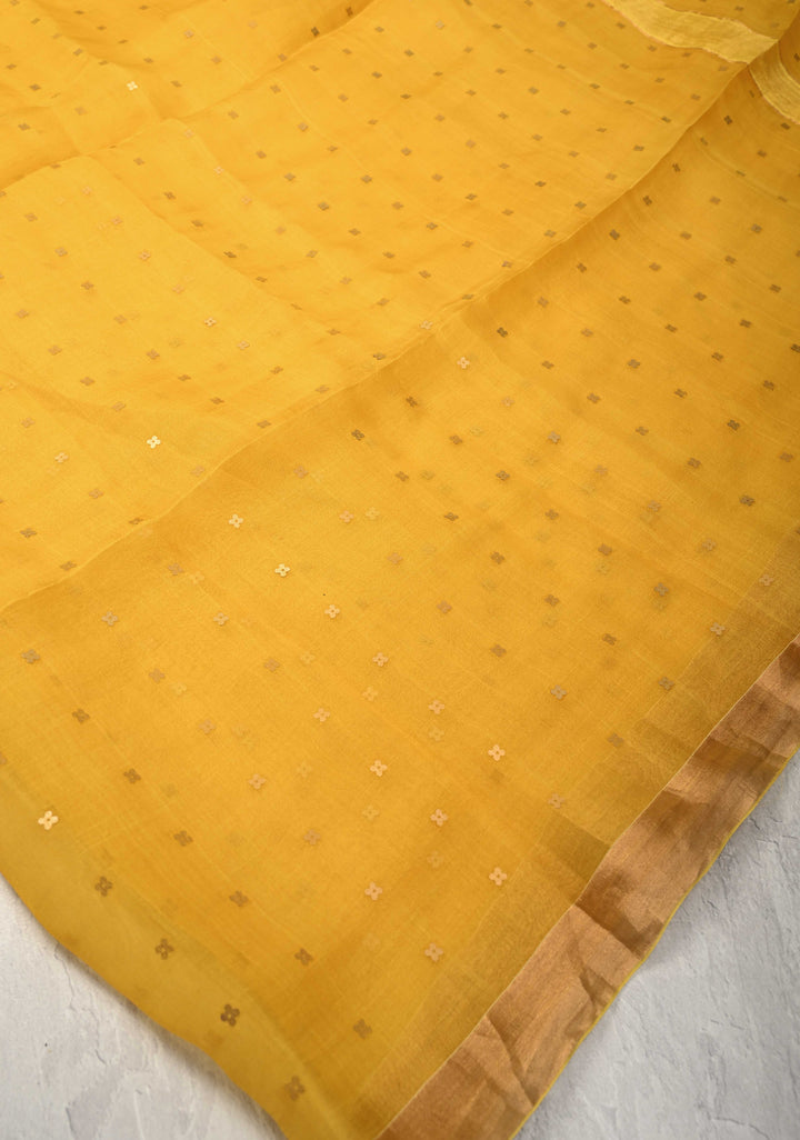Yellow Matka Muslin Silk Saree with Pocket Sequins and Minimal Zari Border | SILK MARK CERTIFIED