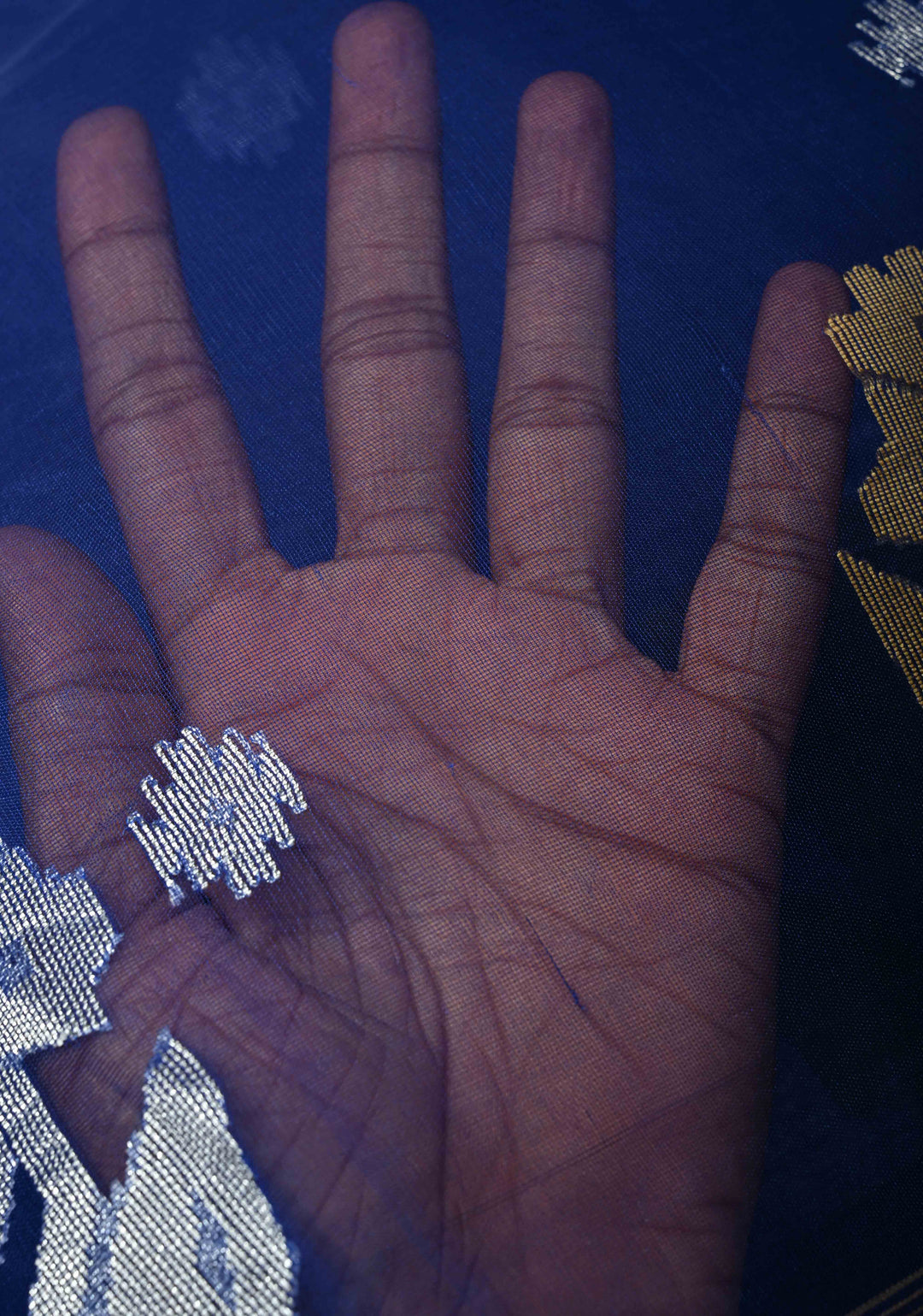 Royal Blue Meenakari Design on Silk Muslin Saree with Resham Jamdani Weaving  | SILK MARK CERTIFIED