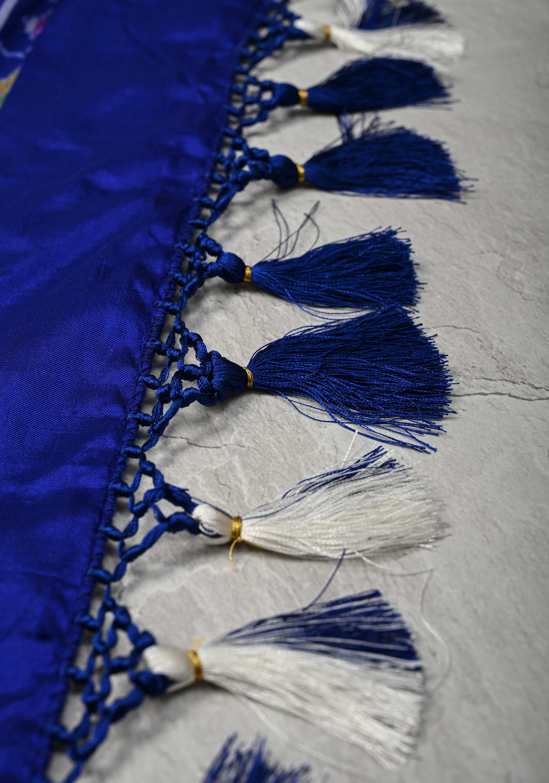 White Pochampally Ikkat Pure Silk Saree with Blue and Red Panel Border | SILK MARK CERTIFIED