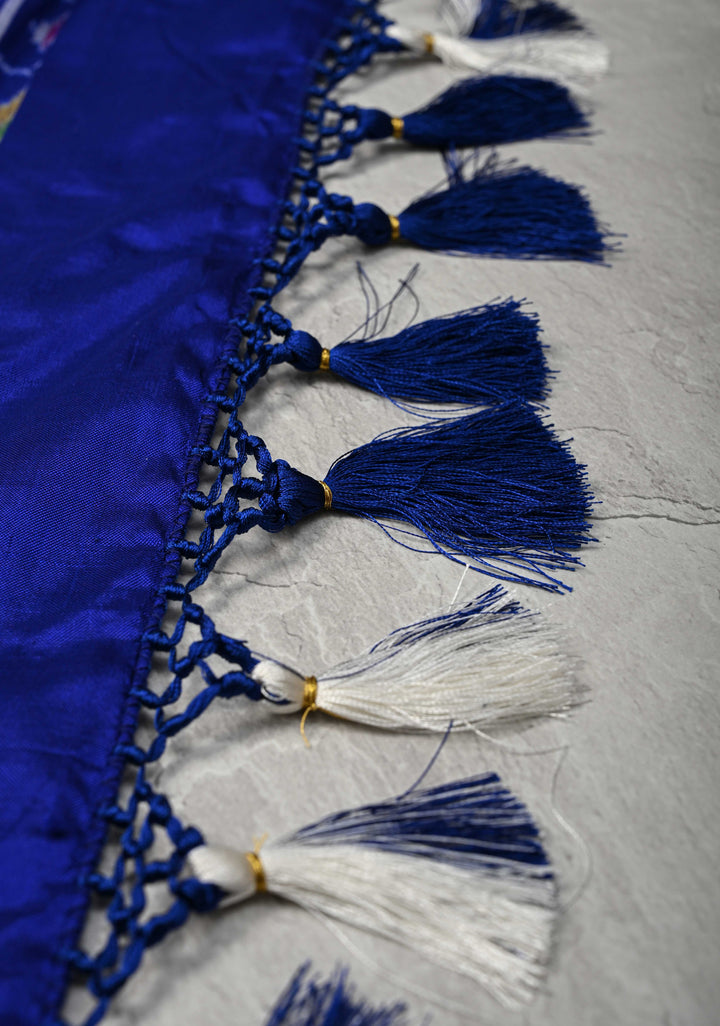 White Pochampally Ikkat Pure Silk Saree with Blue and Red Panel Border | SILK MARK CERTIFIED