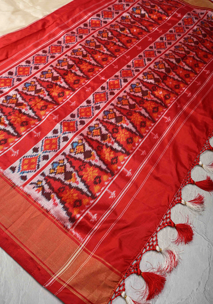 Striking Pochampally Ikkat Pure Silk Saree with Panel and Contrast Zari Border  | SILK MARK CERTIFIED