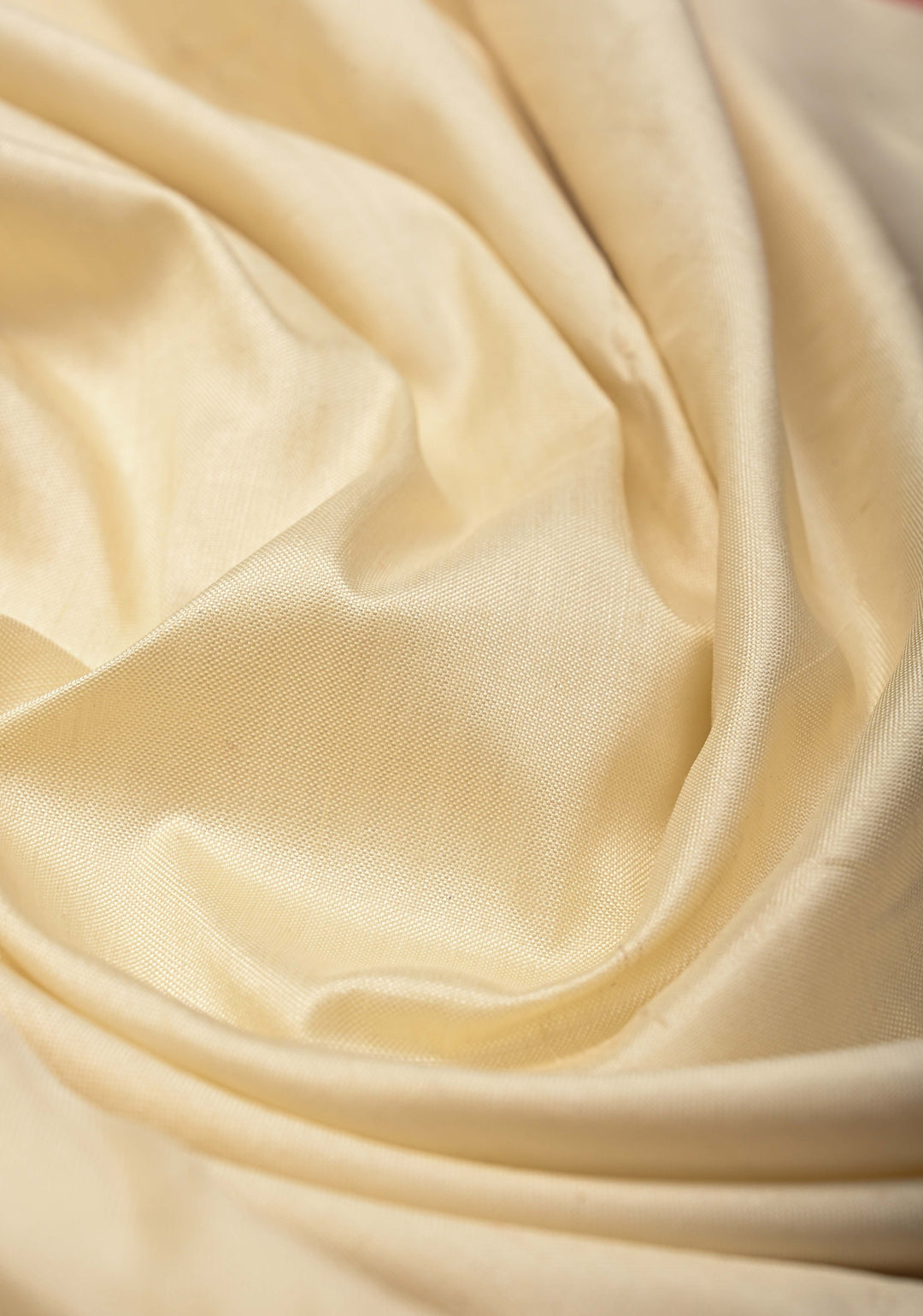 Striking Pochampally Ikkat Pure Silk Saree with Panel and Contrast Zari Border  | SILK MARK CERTIFIED