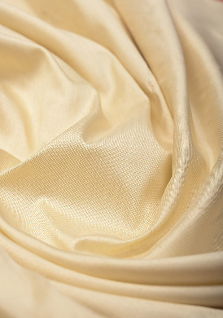 Striking Pochampally Ikkat Pure Silk Saree with Panel and Contrast Zari Border  | SILK MARK CERTIFIED