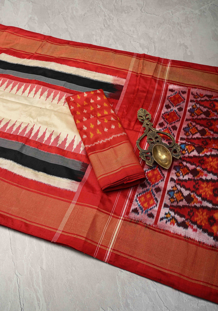 Striking Pochampally Ikkat Pure Silk Saree with Panel and Contrast Zari Border  | SILK MARK CERTIFIED