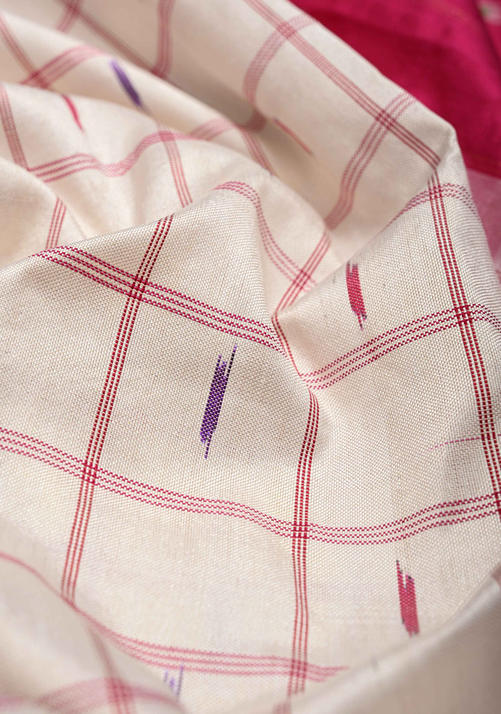 White Pochampally Ikkat Pure Silk Saree with Checks and Zari Panel on Multicolor Pallum Pazhamum Border  | SILK MARK CERTIFIED